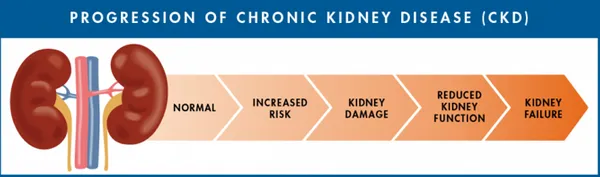 Anemia Of Chronic Kidney Disease Is Associated With Anemia Of Chronic Kidney Disease Is Associated With